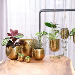 Kody Metal Plant Pots - Set Of 3 - Large - Gold -Indoor Plants Kody Metal Plant Pots Set of 2 Small Gold Lifestyle 03 bf2f59c4 923f 4f0e a93b e51472cb34a5