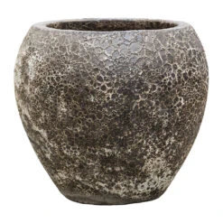 Lava Balloon Relic Planter - Black -Indoor Plants Lava Balloon Relic Planter Black 54x50cm