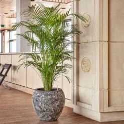 Lava Balloon Relic Planter - Rust -Indoor Plants Lava Balloon Relic Rust Metal