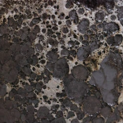 Lava Oval Relic Plant Bowl - Black -Indoor Plants Lava Couple Straight Relic Planter Black 2 9001df74 6055 4c5f 9c4f b81298f3f390