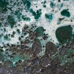 Lava Cube Relic Planter - Jade -Indoor Plants Lava Couple Straight Relic Planter Jade 19x13cm Colour Swatch 1 6fc30a91 83ed 41d0 b59f 278727c76845