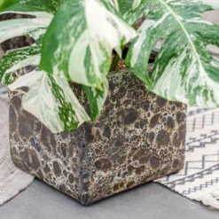 Lava Cube Relic Planter - Black -Indoor Plants Lava Cube Relic Planter Black 1