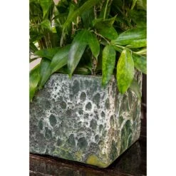 Lava Cube Relic Planter - Jade -Indoor Plants Lava Cube Relic Planter Jade Close