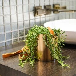 Floro Hanging Plant Pot - Copper -Indoor Plants Lifestyle Floro Hanging Plant Pot 13x13cm 2