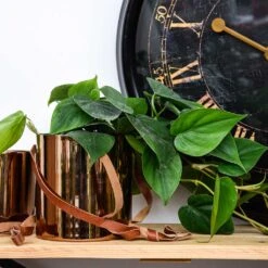 Floro Hanging Plant Pot - Copper -Indoor Plants Lifestyle Floro Hanging Plant Pot Copper 13x13cm