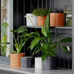 Hadleigh Plant Pot - Charcoal -Indoor Plants Lifestyle Hadleigh Plant Pot a8f821c4 ef75 4ab7 b78a 21936757ff12
