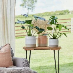 Puro Ripple Plant Pot - White -Indoor Plants Lifestyle Puro Ripple Plant Pot 21x19cm 78129612 f541 46ee b1c8 f828cfeb6eb8