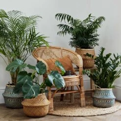 Seagrass Tribal Basket - Teal Lined -Indoor Plants Lifestyle Seagrass Tribal Basket Teal Lined 35x30cm