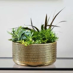 Solis Embossed Plant Bowl - Gold -Indoor Plants Lifestyle Solis Embossed Plant Bowl Gold 30x15cm
