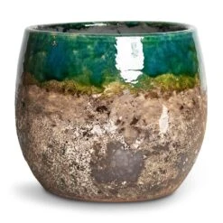 Lindy Plant Pot - Black Green -Indoor Plants Lindy Plant Pot Black Green 16x13cm