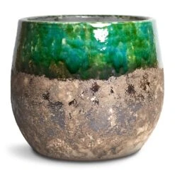 Lindy Plant Pot - Black Green -Indoor Plants Lindy Plant Pot Black Green 23x20cm