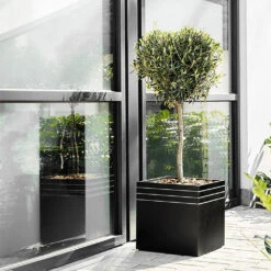 Line-Up Cube Planter - Matt Black -Indoor Plants Line Up Cube Planter Matt Black Lifestyle 2