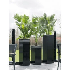 Line-Up Tall Square Planter - Matt Black -Indoor Plants Line Up Tall Square Planter Matt Black Lifestyle