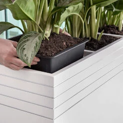 Line-Up Cube Planter - Matt White -Indoor Plants Line Up Tall Square Planter Matt White Lifestyle d7ee9310 8be7 4c44 81be 86c068dc217b