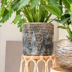 Luxe Lite Comet Cylinder Planter - Bronze -Indoor Plants Luxe Lite Comet Cylinder Planter Bronze Small Houseplant
