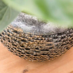 Luxe Lite Layer Globe Planter - Bronze -Indoor Plants Luxe Lite Layer Globe Planter 1