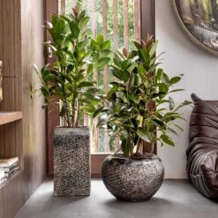Luxe Lite Layer Globe Planter - Bronze -Indoor Plants Luxe Lite Layer Globe Planter Bronze Lifestyle
