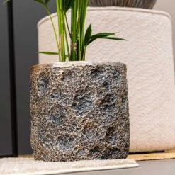 Luxe Lite Moon Cylinder Planter - Bronze -Indoor Plants Luxe Lite Moon Cylinder Planter Bronze Small Houseplant