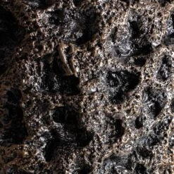 Luxe Lite Moon Partner Planter - Bronze -Indoor Plants Luxe Lite Moon Partner Planter Bronze 33x70cm 5