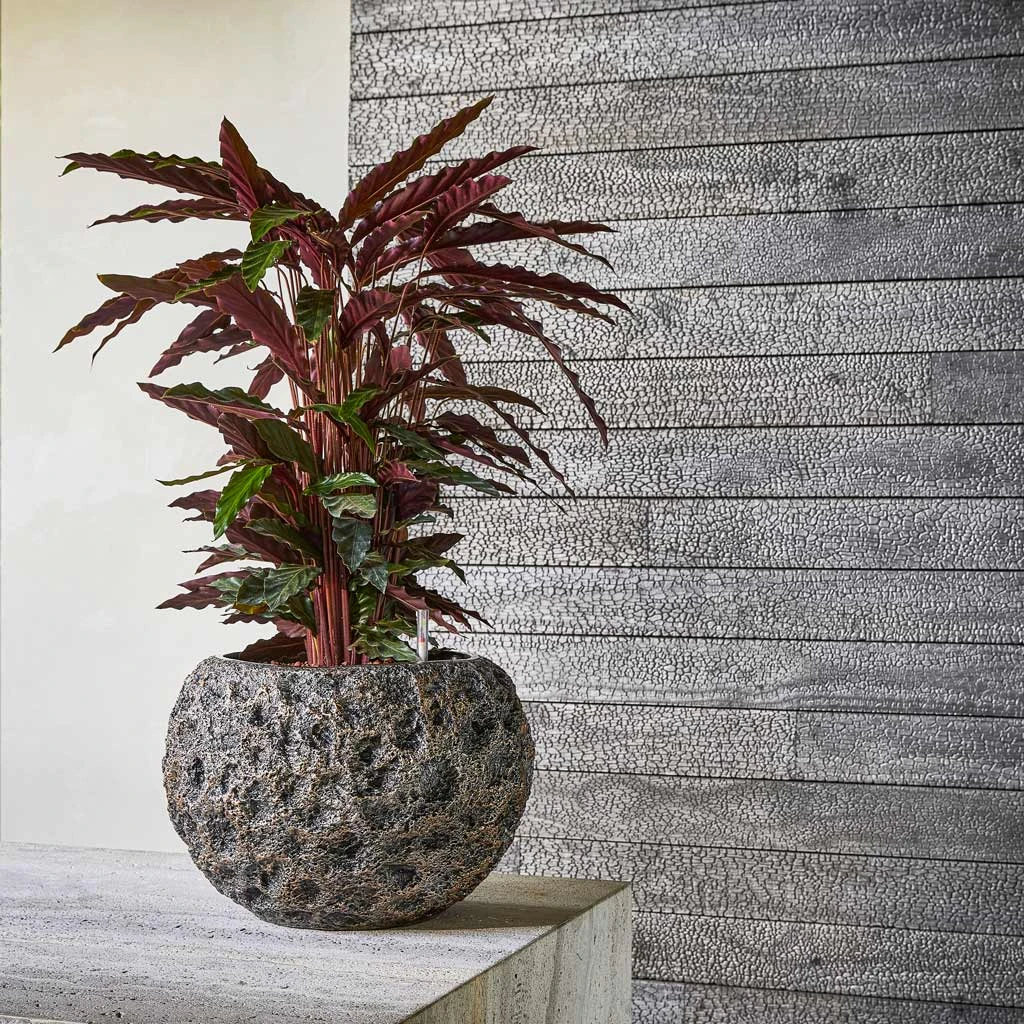 Luxe Lite Moon Globe Planter - Bronze 2 Luxe Lite Moon Globe Planter - Bronze - Image 2