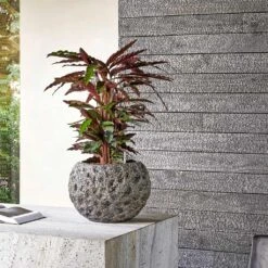 Luxe Lite Moon Globe Planter - Bronze 15 Luxe Lite Moon Globe Planter - Bronze -Indoor Plants Luxe Lite Universe Moon Globe Bronze