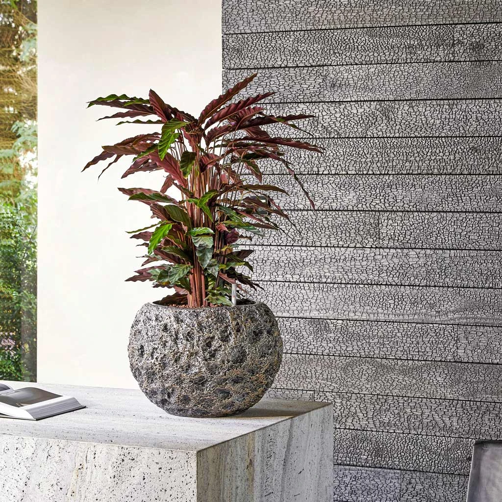 Luxe Lite Moon Globe Planter - Bronze 6 Luxe Lite Moon Globe Planter - Bronze - Image 6