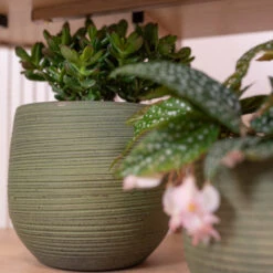 Lydia Plant Pot - Shiny Green -Indoor Plants LydiaPlantPot ShinyGreen 3