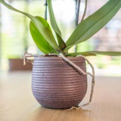 Lydia Plant Pot - Shiny Purple -Indoor Plants LydiaPlantPotShiny Purple 1