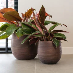 Lydia Plant Pot - Shiny Purple -Indoor Plants LydiaPlantPotShiny Purple 3