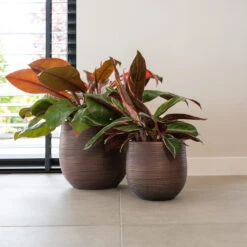 Lydia Plant Pot - Shiny Purple -Indoor Plants LydiaPlantPotShiny Purple 4