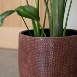 Lykke Plant Pot - Chestnut Blush 13 Lykke Plant Pot - Chestnut Blush -Indoor Plants Lykke Chestnut 2