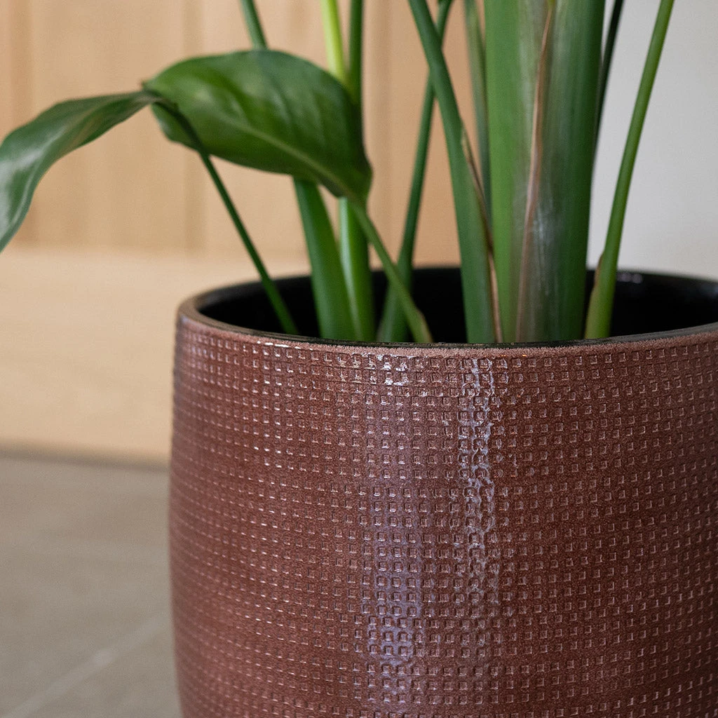 Lykke Plant Pot - Chestnut Blush 5 Lykke Plant Pot - Chestnut Blush - Image 5