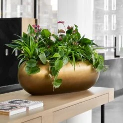 Metallic Boat Planter - Matt Honey 7 Metallic Boat Planter - Matt Honey -Indoor Plants Metallic Boat Planter Matt Honey 1