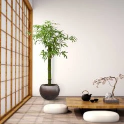 Metallic Globe Plant Pot - Matt Coffee -Indoor Plants Metallic Couple Plant Pot Matt Coffee LS1