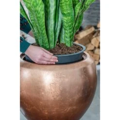 Metallic Couple Plant Pot - Matt Copper 12 Metallic Couple Plant Pot - Matt Copper -Indoor Plants Metallic Couple Plant Pot Matt Copper Sansevieria Lifestyle Close