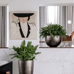 Metallic Plant Bowl - Matt Coffee -Indoor Plants MetallicPlantBowl MattCoffee 45x27cmPlantPotSizeCheck HortologyMetallicPlantBowl MattCoffee 1