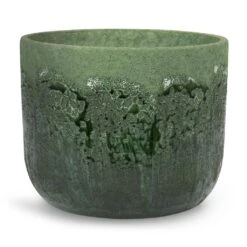 Moon Plant Pot - Jungle -Indoor Plants Moon Plant Pot Jungle 19x16cm