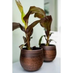 Mya Plant Pot - Shiny Mocha -Indoor Plants Mya Plant Pot Shiny Mocha Houseplants