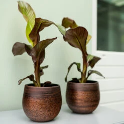 Mya Plant Pot - Shiny Mocha -Indoor Plants Mya Plant Pot Shiny Mocha Lifestyle 04