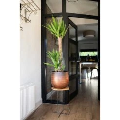 Mya Plant Pot - Shiny Mocha -Indoor Plants Mya Plant Pot Shiny Mocha Yucca Houseplant Plant Stand