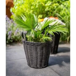 Nanna Wikr Plant Basket - Dark Brown -Indoor Plants Nanna Wicker Plant Basket Dark Brown Palm Tree
