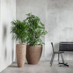 Naturescast Couple Planter - Natural -Indoor Plants Naturescast Couple Planter Natural Lifestyle