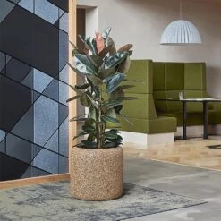 Naturescast Cylinder Planter - Natural 11 Naturescast Cylinder Planter - Natural -Indoor Plants Naturescast Cylinder Planter Natural Lifestyle