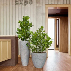 Naturescast Partner Planter - Grey -Indoor Plants Naturescast Partner Couple Planter Grey Liestyle 05593378 b030 4331 9376 1d57c9e7d03e