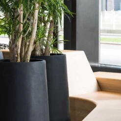 Nax Natural Tall Planter - Black -Indoor Plants Nax Natural Planter Black Office Planters Close Up