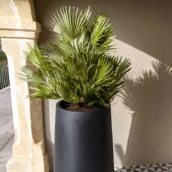Nax Natural Tall Planter - Black -Indoor Plants Nax Natural Tall Planter Black 1