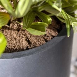 Nax Natural Tall Planter - Black -Indoor Plants Nax Natural Tall Planter Black 2