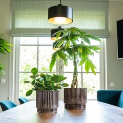 Nella Plant Pot - Coffee 13 Nella Plant Pot - Coffee -Indoor Plants Nella Coffee 2