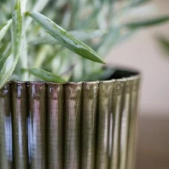 Nella Plant Pot - Forest 24 Nella Plant Pot - Forest -Indoor Plants Nella Forest 3