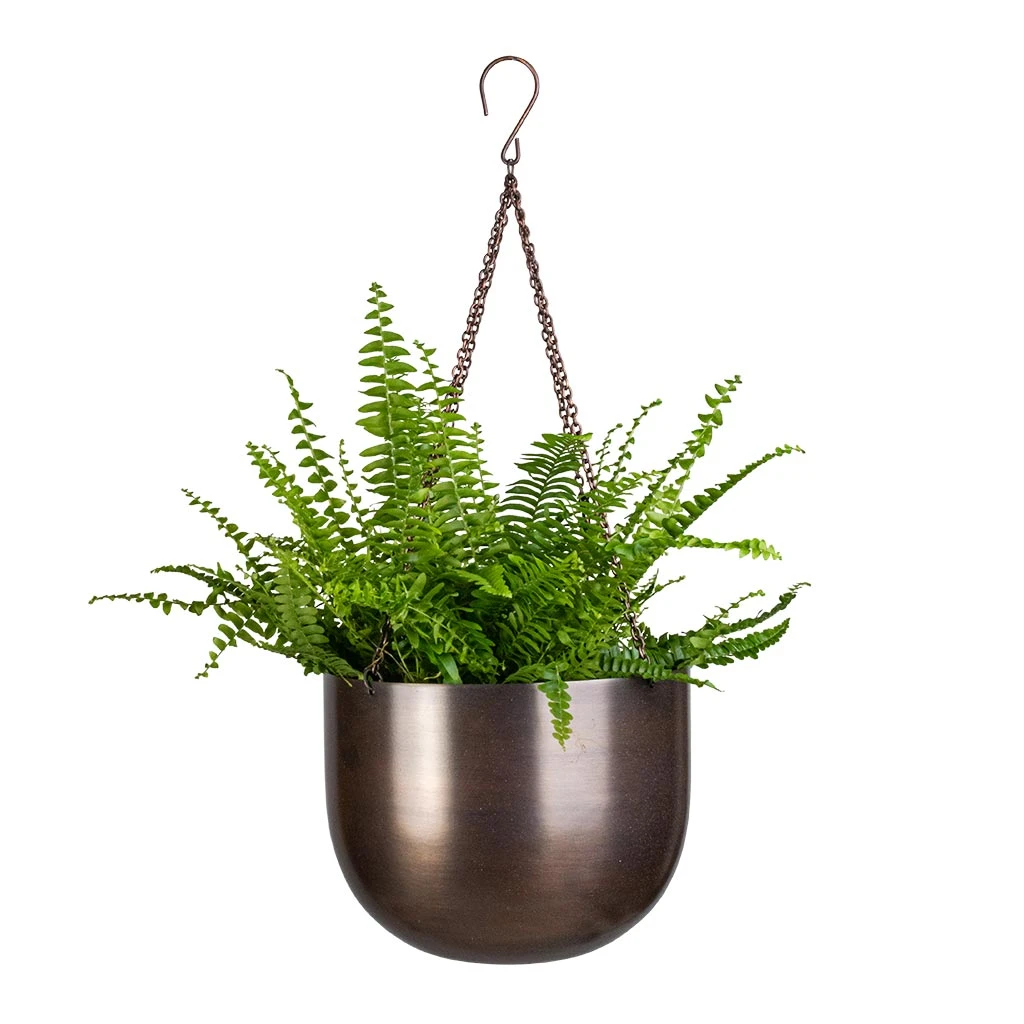 Mayfair Hanging Plant Pot - Mocha 4 Mayfair Hanging Plant Pot - Mocha - Image 4